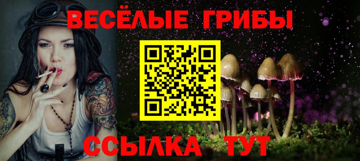 Южноуральск  Псилоцибиновые грибы MAGIC MUSHROOMS  Вход с VPN 